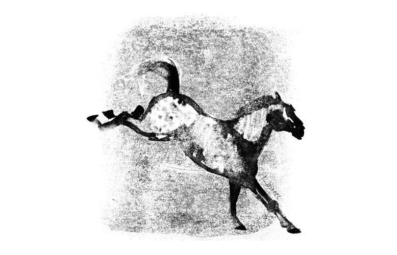Rysunek wierzgającego konia.