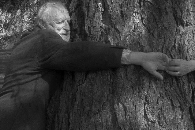 Starszy mężczyzna obejmując szerokie drzewo. Łapie czyjąś rękę z obrączką.