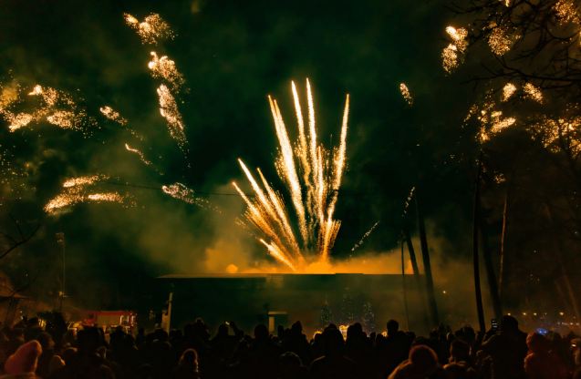 Fajerwerki na tle ciemnego nieba.