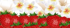 Białe kwiaty i czerwone truskawki układającę się w polską flagę.
